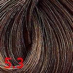 Revlon Color Excel 5-3 золотисто-ореховый Revlon Color Excel 5-3 золотисто-ореховый